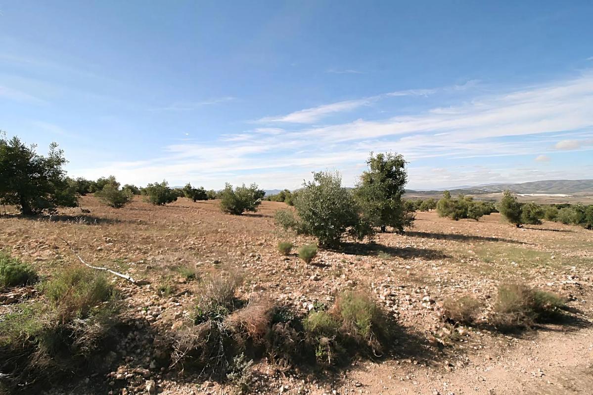 Terreno en venta en Biar, Alicante photo 5