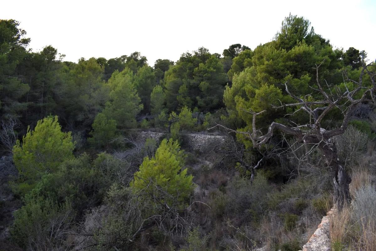 Land for sale in Calpe, Alicante photo 3