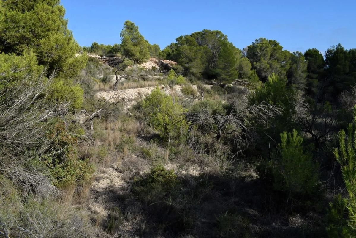 Land for sale in Calpe, Alicante photo 4