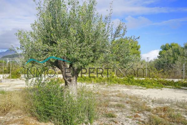 Terreno en lago Hucan photo 1