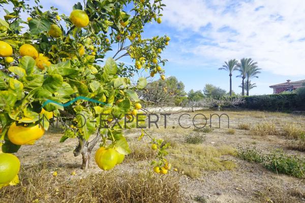 Terreno en lago Hucan thumbnail 2