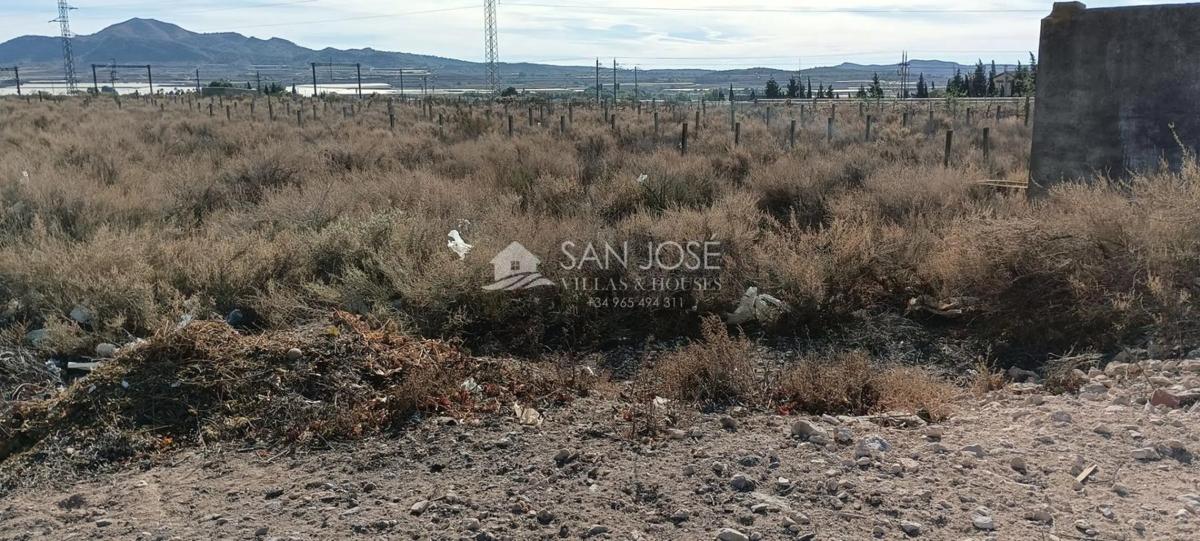 Terreno en venta en Monforte del Cid, Alicante photo 3