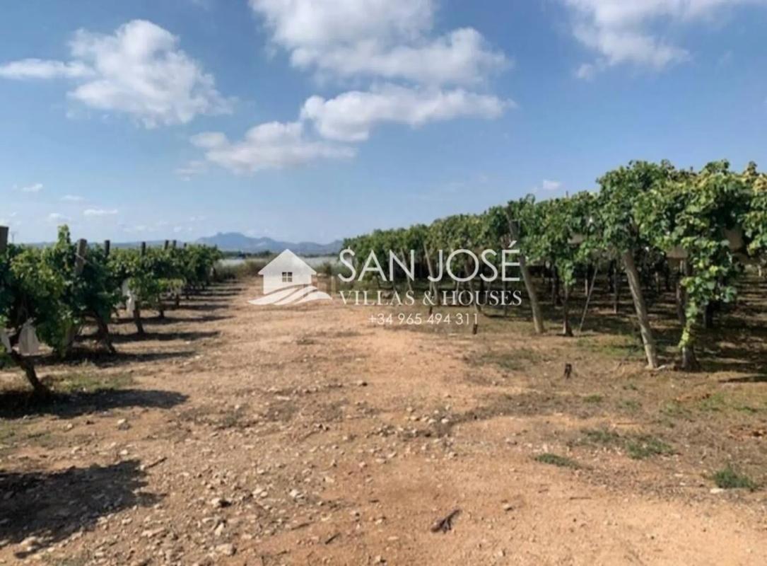 Land for sale in Monforte del Cid, Alicante photo 2