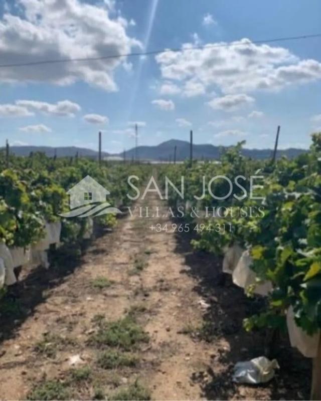 Land for sale in Monforte del Cid, Alicante photo 5