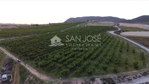Terreno en Monforte del Cid photo 1