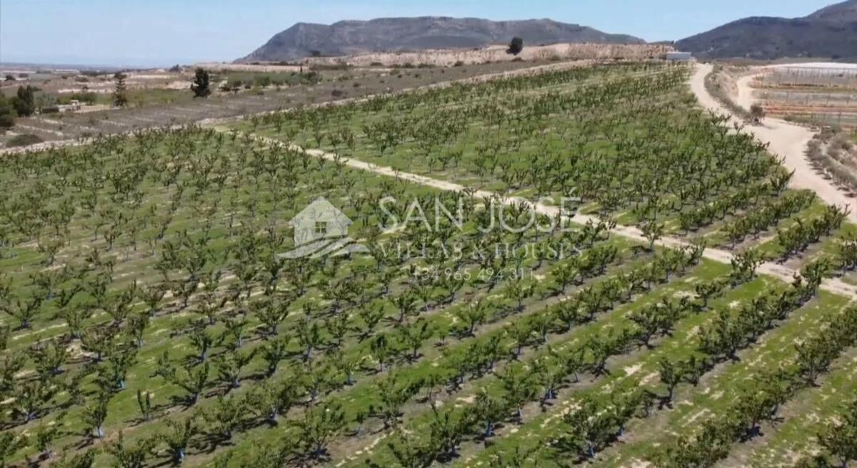 Terreno en venta en Monforte del Cid, Alicante photo 4