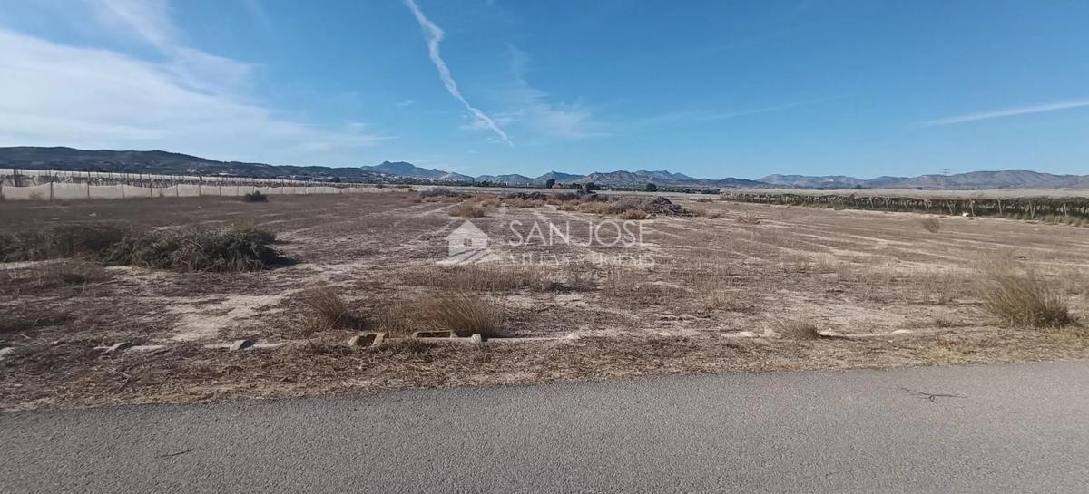 Terreno en venta en Monforte del Cid, Alicante photo 4