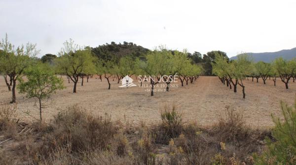 Terreno en Sax photo 1