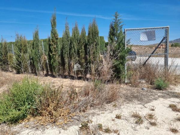 Terreno en Pinoso photo 1