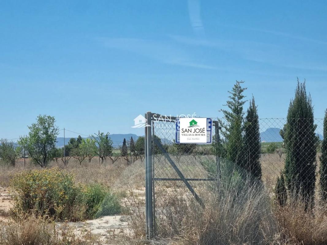 Terreno en venta en Pinoso, Alicante photo 2