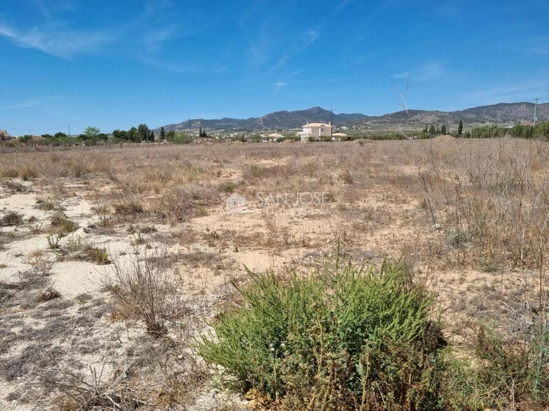 Terreno en venta en Pinoso, Alicante photo 3