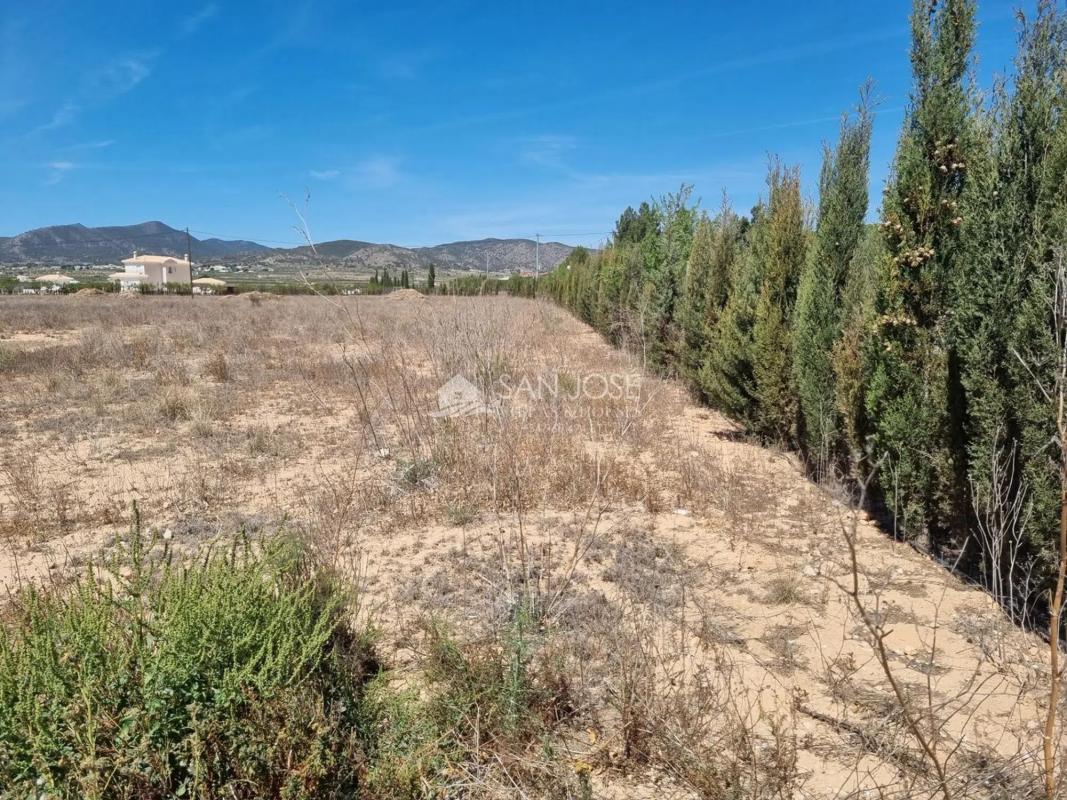 Terreno en venta en Pinoso, Alicante photo 4