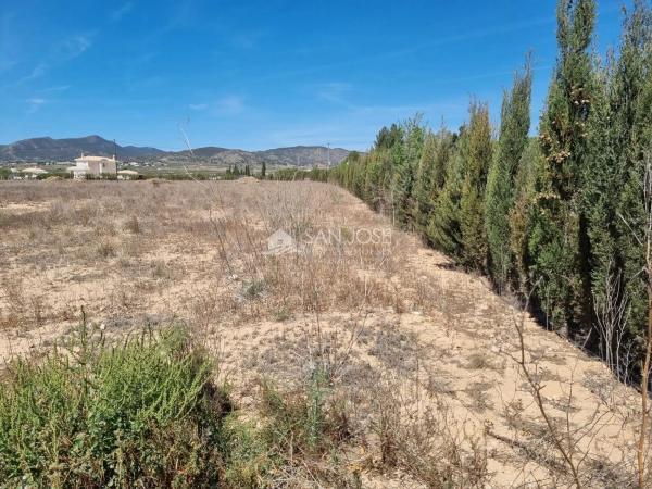 Terreno en Pinoso photo 4