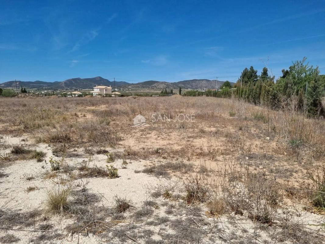 Terreno en venta en Pinoso, Alicante photo 5