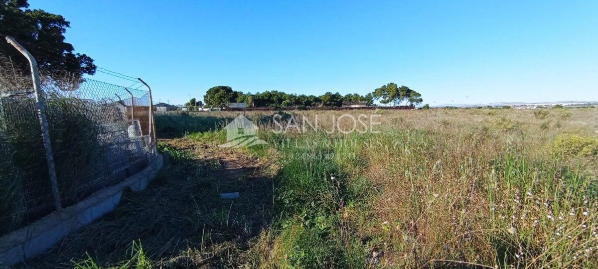 Terreno en venta en Elche / Elx, Alicante photo 2