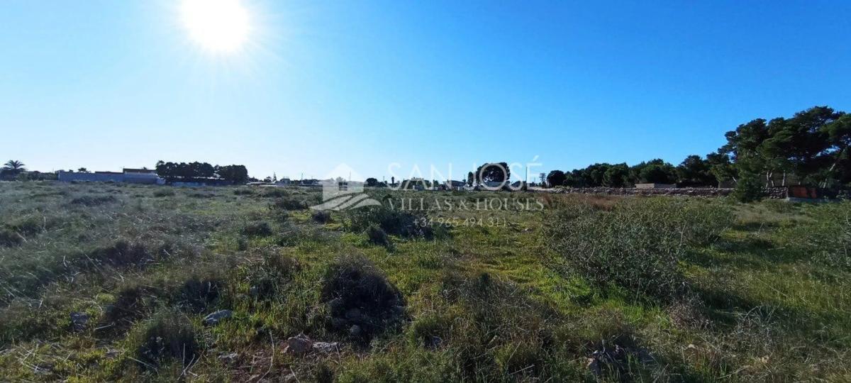 Terreno en venta en Elche / Elx, Alicante photo 3