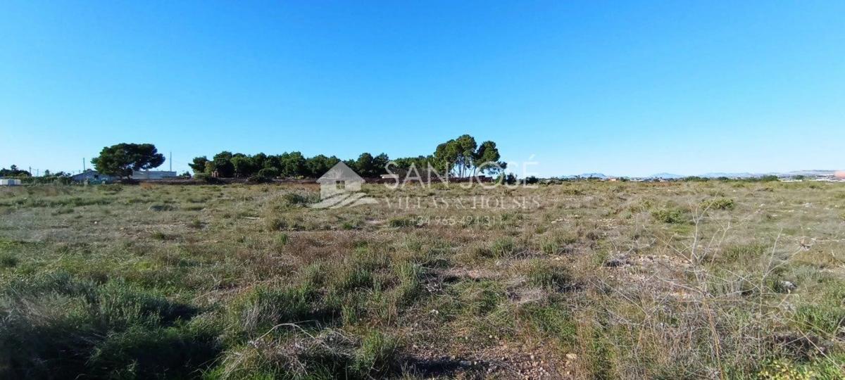 Terreno en venta en Elche / Elx, Alicante photo 5