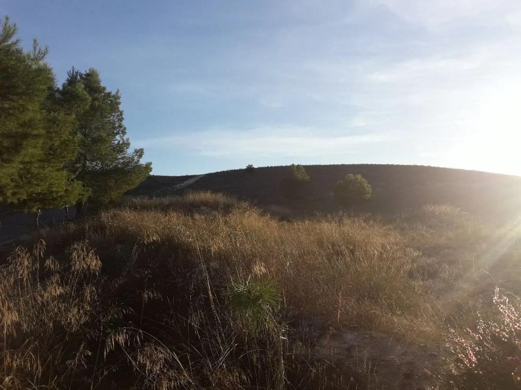 Działka na sprzedaż w Aspe, Alicante photo 5