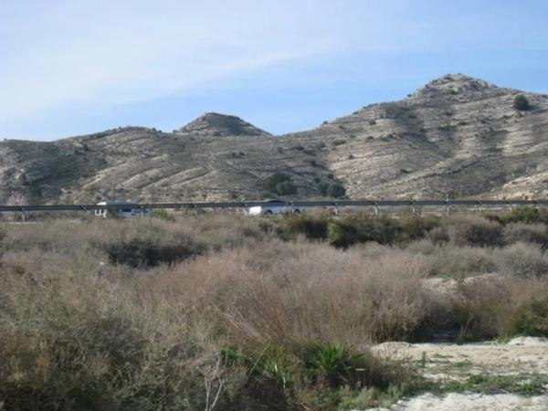 Terreno en Pedanías Este photo 1