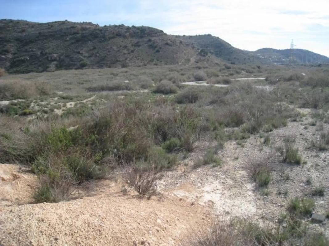 Terreno en venta en Aspe, Alicante photo 2