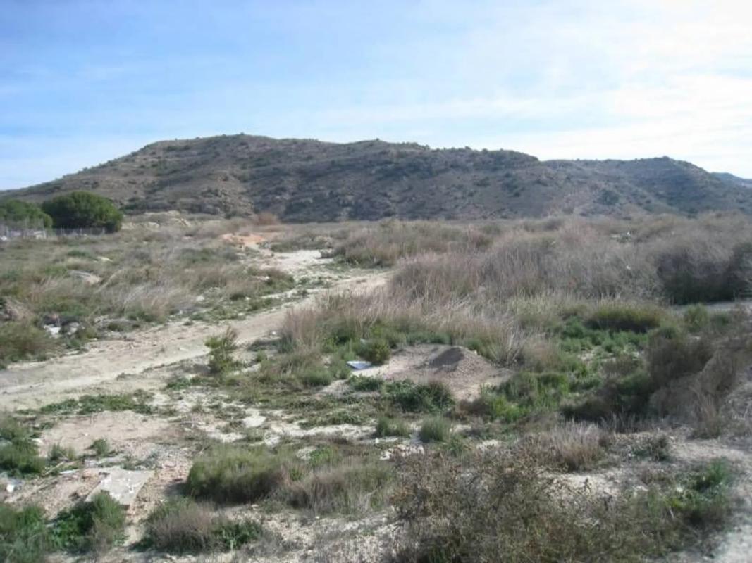 Terreno en venta en Aspe, Alicante photo 4