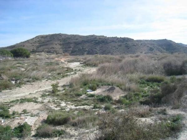 Terreno en Pedanías Este photo 4