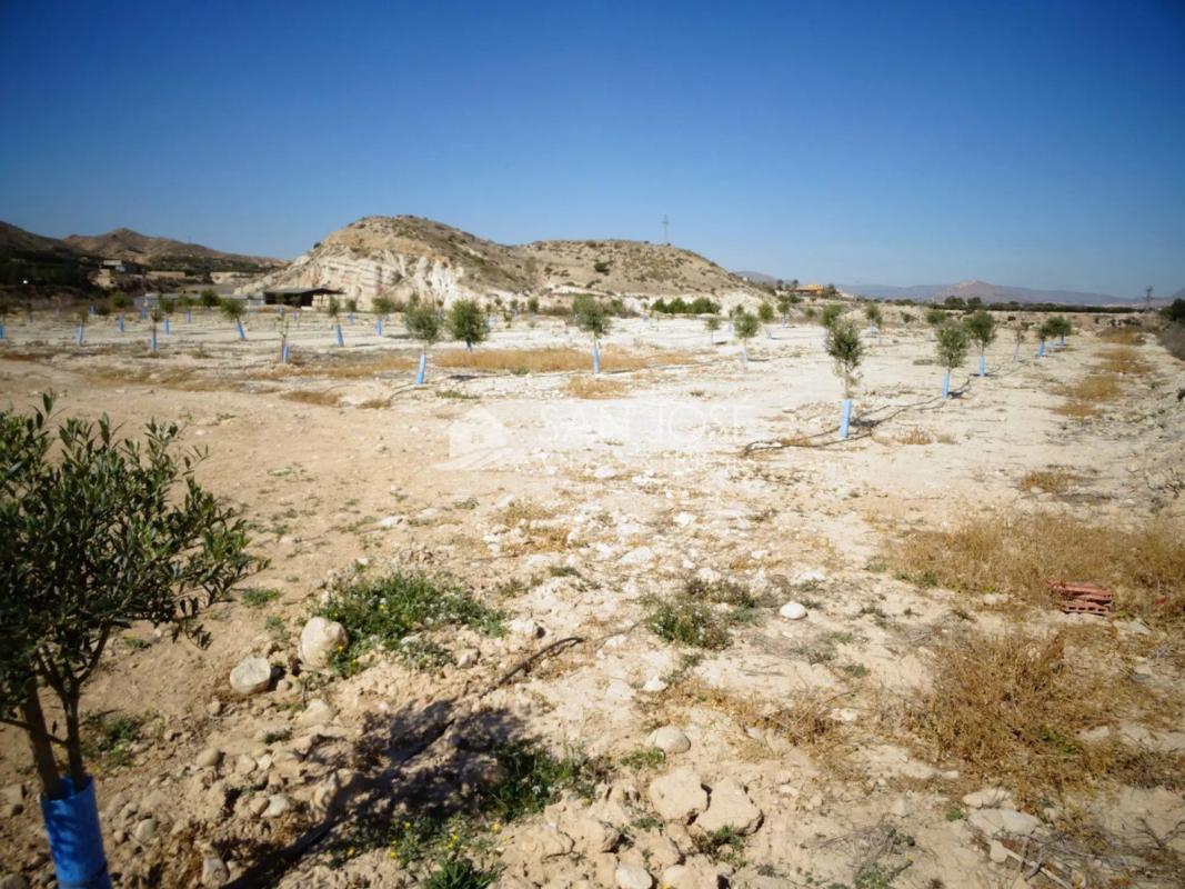 Terreno en venta en Aspe, Alicante photo 3