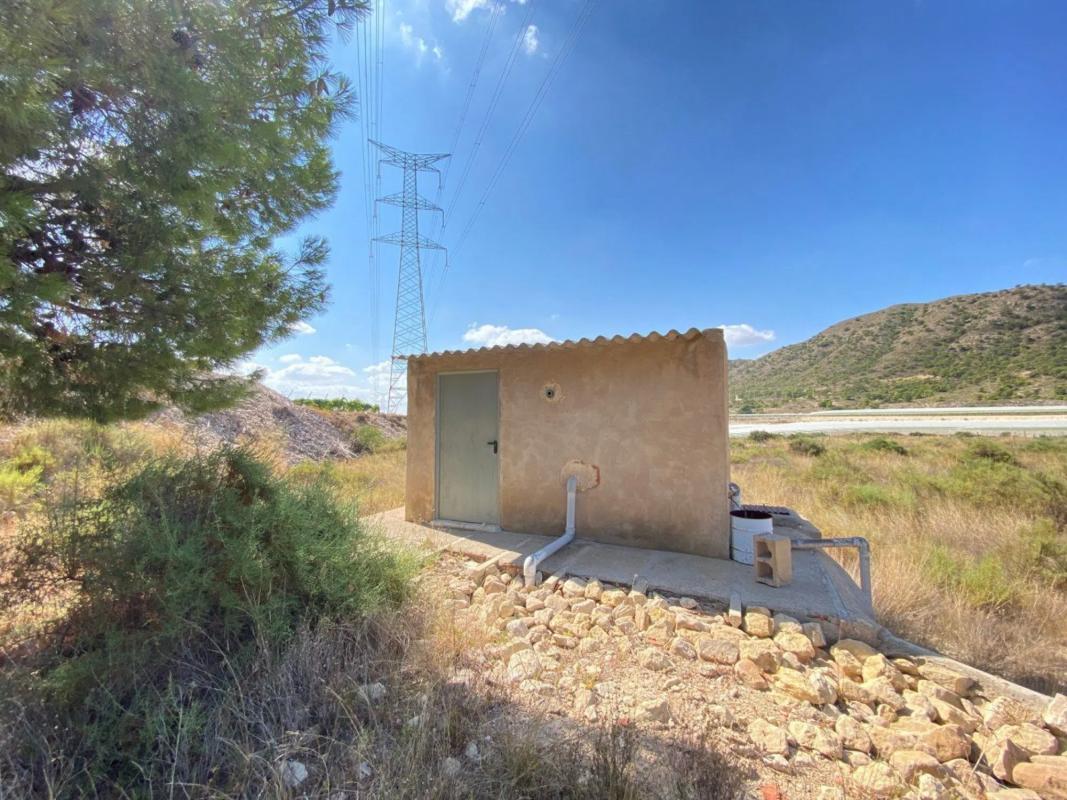 Land for sale in Novelda, Alicante photo 5