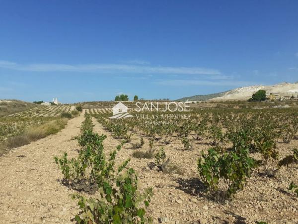 Terreno en Algueña photo 1