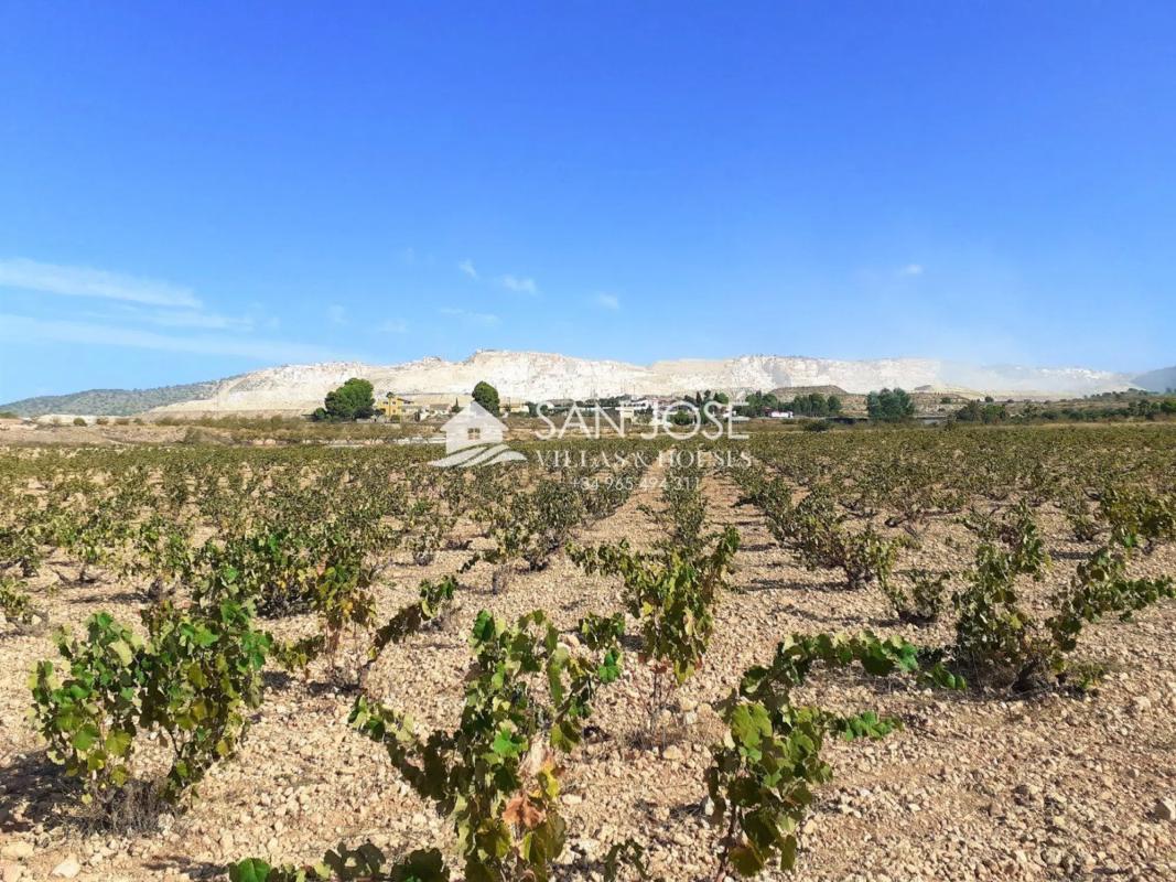 Land for sale in Algueña, Alicante photo 2
