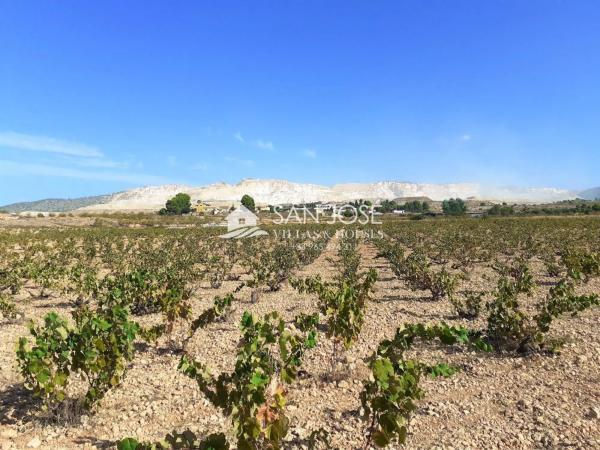 Terreno en Algueña photo 2