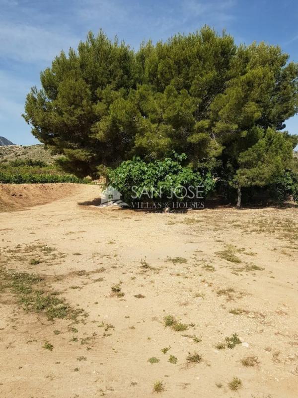 Terreno en venta en La Romana, Alicante photo 2