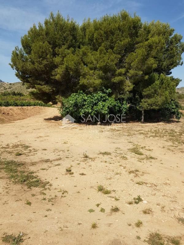 Terreno en venta en La Romana, Alicante photo 3