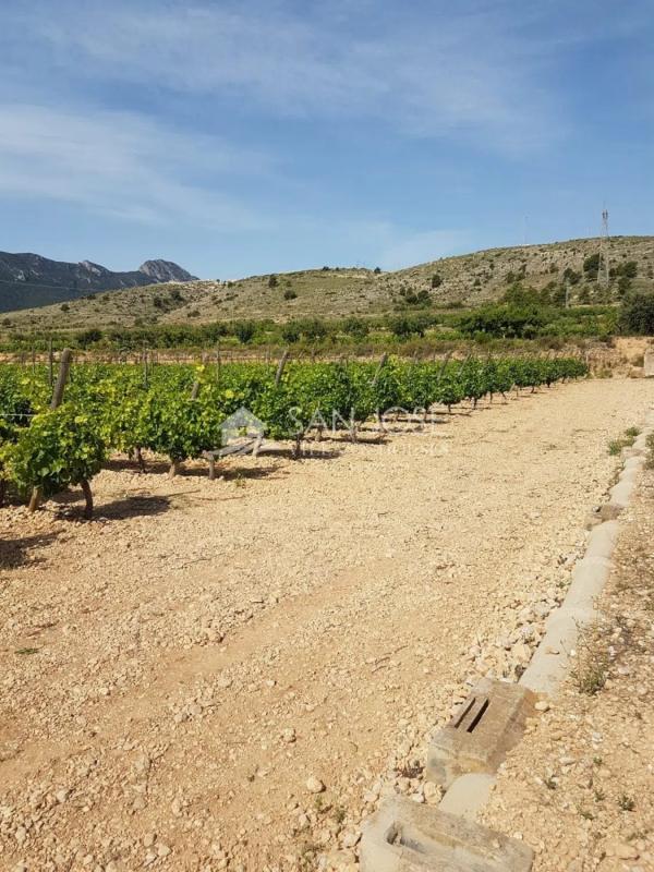 Terreno en venta en La Romana, Alicante photo 4