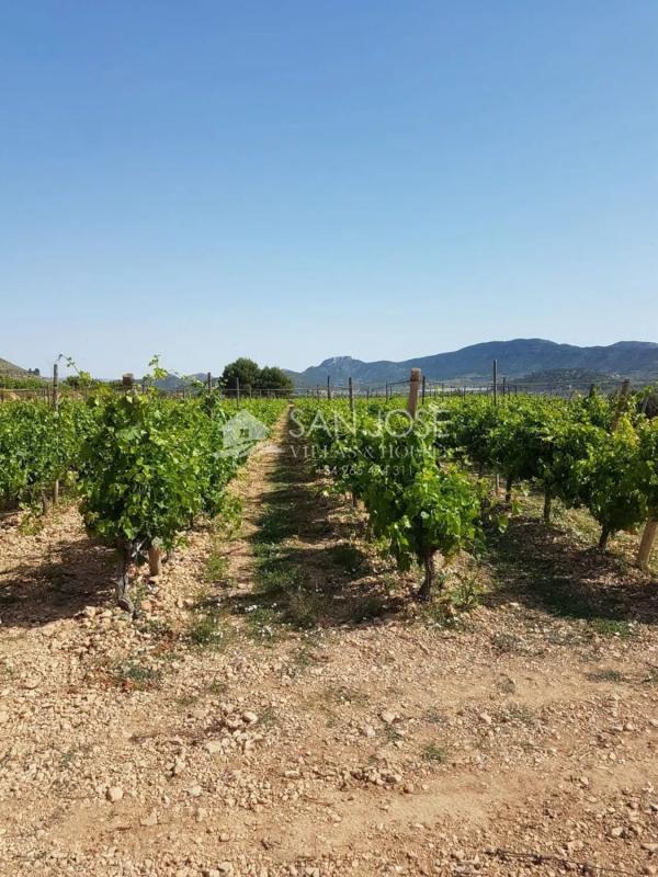 Terreno en venta en La Romana, Alicante photo 5