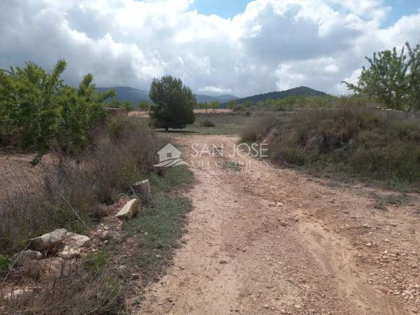 Terreno en Monovar photo 4