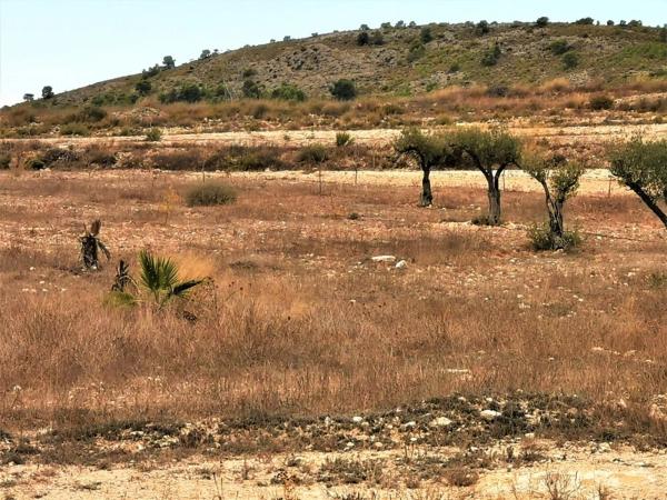 Terreno en Salinas photo 3