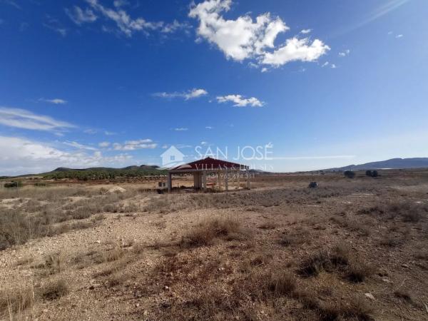 Terreno en Monovar photo 2