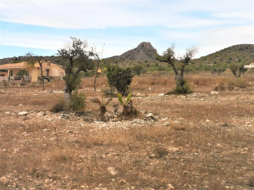 Terreno en venta en Salinas, Alicante photo 5