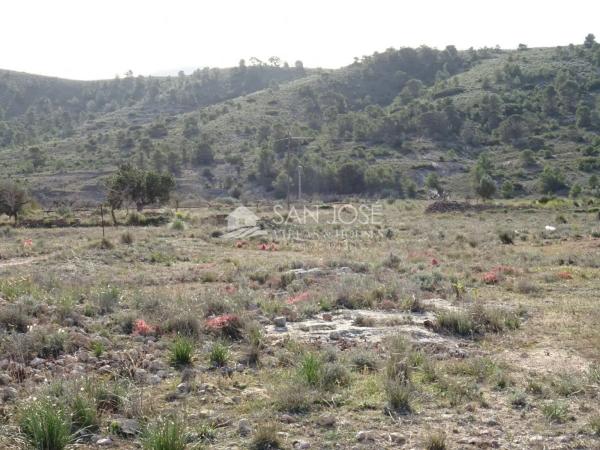 Terreno en Hondón de las Nieves photo 2