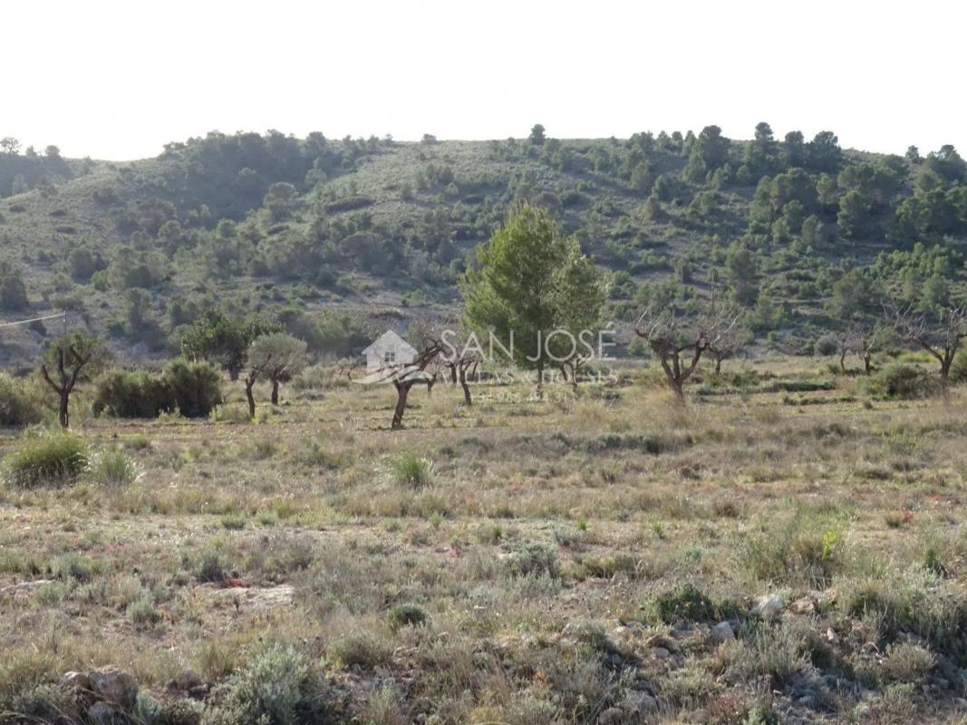 Działka na sprzedaż w Hondón de las Nieves, Alicante photo 4