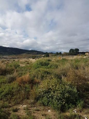 Terreno en Novelda photo 4