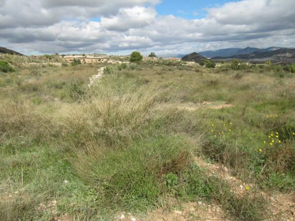 Terreno en Novelda photo 3