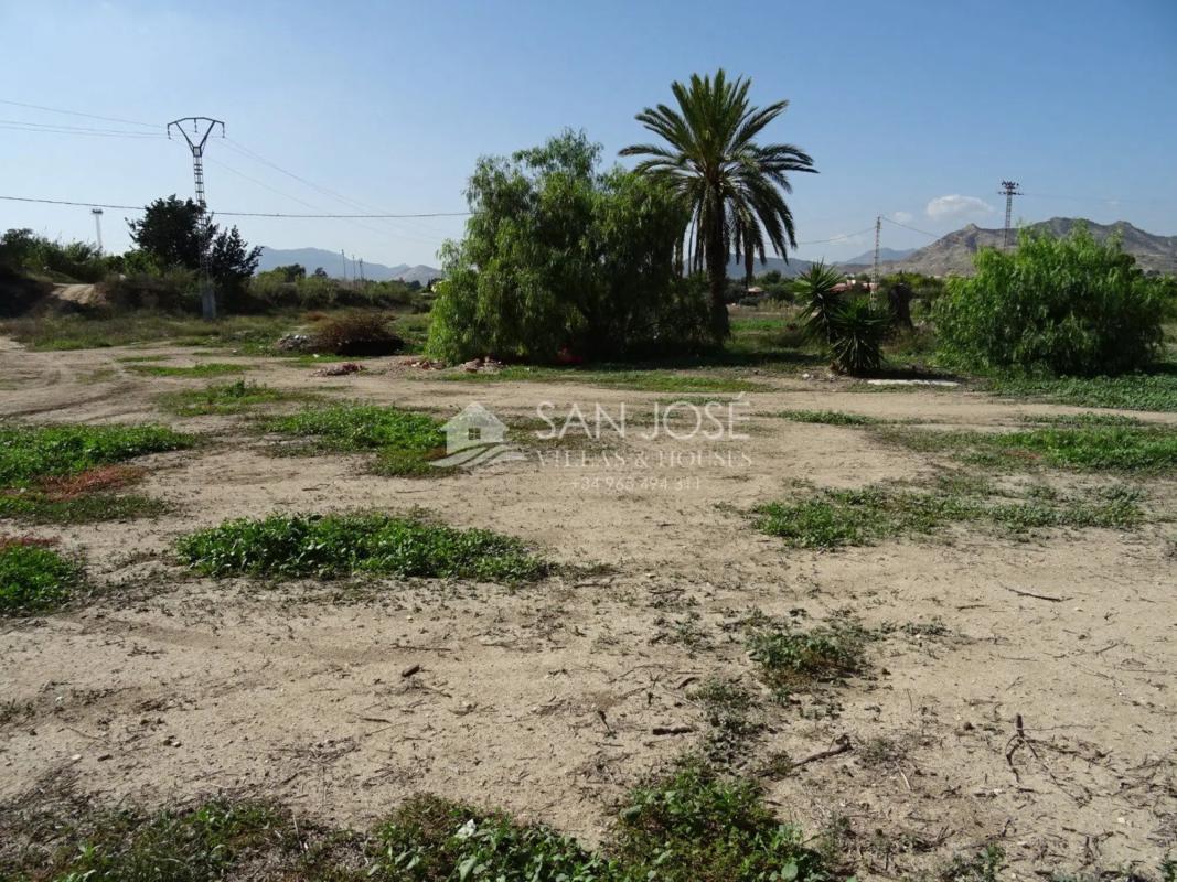 Land for sale in Aspe, Alicante photo 3