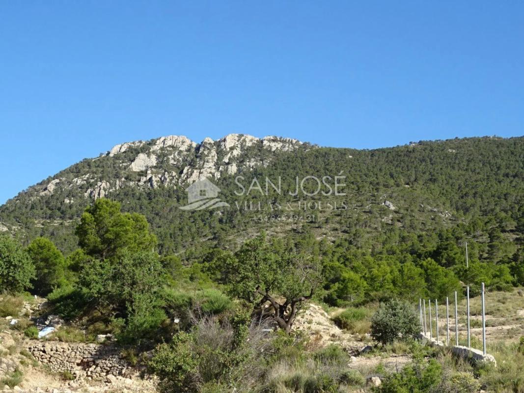 Terreno en venta en Hondón de las Nieves, Alicante photo 2