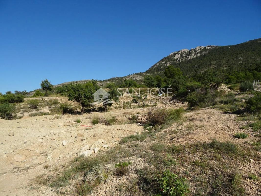 Terreno en venta en Hondón de las Nieves, Alicante photo 4