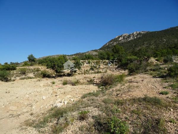 Terreno en Hondón de las Nieves photo 4