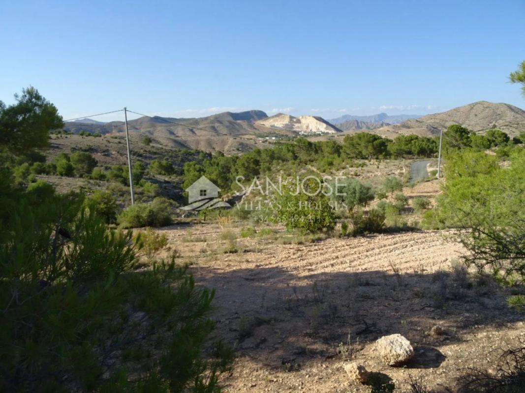 Terreno en venta en Hondón de las Nieves, Alicante photo 5