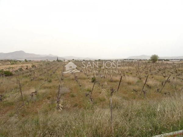 Terreno en Novelda photo 4