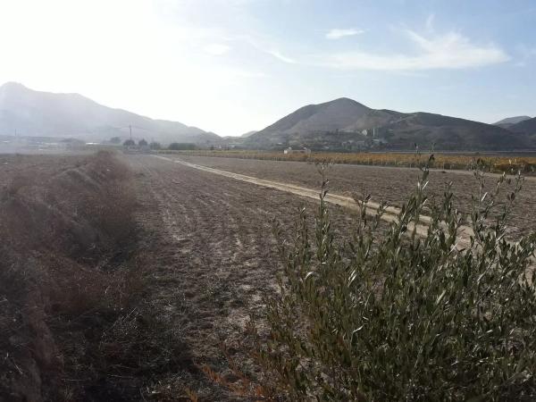 Terreno en Barrio Prosperidad - La Cruz thumbnail 1